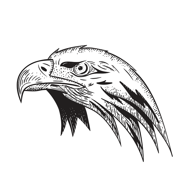 Безкоштовно завантажити Eagle Bird Predator Безкоштовну ілюстрацію для редагування в онлайн-редакторі зображень GIMP