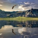 Eagle flying over the lake  screen for extension Chrome web store in OffiDocs Chromium