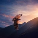 Eagle Flying Over the Valley  screen for extension Chrome web store in OffiDocs Chromium