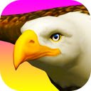 Eagle Ride Game Soar through the woods and avoid obstacles!  screen for extension Chrome web store in OffiDocs Chromium