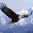 Eagle Theme  screen for extension Chrome web store in OffiDocs Chromium