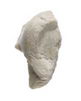 Free download Ear from a statue of king or queen free photo or picture to be edited with GIMP online image editor