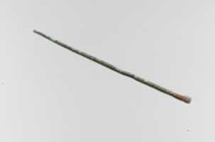 Free download Ear pick or Ligula free photo or picture to be edited with GIMP online image editor