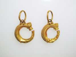 Free download Earrings, trumpet-shaped free photo or picture to be edited with GIMP online image editor