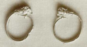 Free download Earrings with gazelle head terminal free photo or picture to be edited with GIMP online image editor