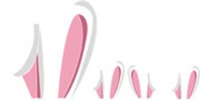 Free download ears-1975279__340 free photo or picture to be edited with GIMP online image editor