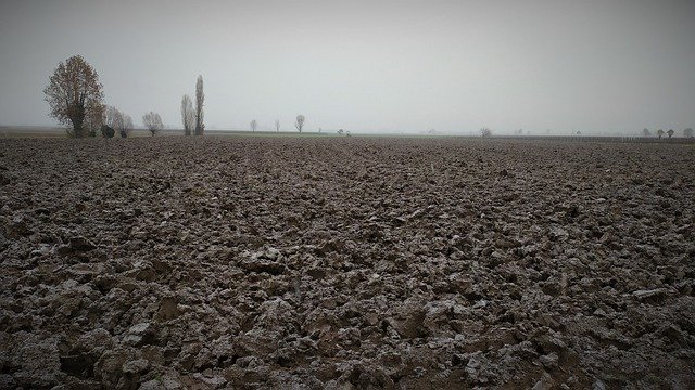 Free download earth heart po valley italy wild free picture to be edited with GIMP free online image editor