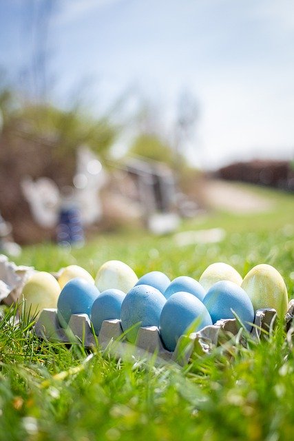 Bezpłatne pobieranie wielkanocne jajko wielkanocne z wolnego wybiegu bio darmowe zdjęcie do edycji za pomocą bezpłatnego internetowego edytora obrazów GIMP