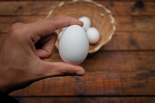 ດາວ​ໂຫຼດ​ຟຣີ easter egg ການ​ຕົກ​ແຕ່ງ Easter ຮູບ​ພາບ​ຟຣີ Easter ທີ່​ຈະ​ໄດ້​ຮັບ​ການ​ແກ້​ໄຂ​ທີ່​ມີ GIMP ບັນນາທິການ​ຮູບ​ພາບ​ອອນ​ໄລ​ນ​໌​ຟຣີ