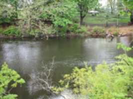 Free download East Street Park River free photo or picture to be edited with GIMP online image editor