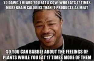 Free download Eat Cows Who Eats 17 Times More Grain Calories free photo or picture to be edited with GIMP online image editor