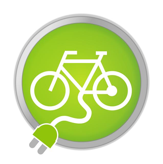 Free download E-Bike Bike Pedelec - Free vector graphic on Pixabay free illustration to be edited with GIMP free online image editor
