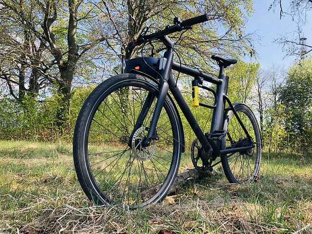 Free download e bike wheel bicycle compensation free picture to be edited with GIMP free online image editor