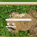 Ech  screen for extension Chrome web store in OffiDocs Chromium