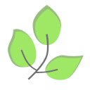 eco₂rd  screen for extension Chrome web store in OffiDocs Chromium