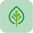 EcoTab: Your Daily Green Guide  screen for extension Chrome web store in OffiDocs Chromium