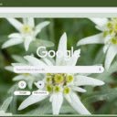 Edelweiss  screen for extension Chrome web store in OffiDocs Chromium