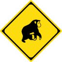 Edit Request Headers  screen for extension Chrome web store in OffiDocs Chromium