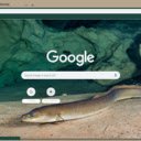 Eel  screen for extension Chrome web store in OffiDocs Chromium