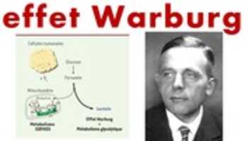 Free download effet Warburg free photo or picture to be edited with GIMP online image editor