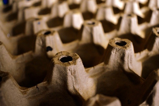 Free download egg carton cardboard packaging free picture to be edited with GIMP free online image editor