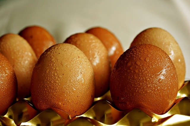 قم بتنزيل صورة مجانية لبيض البيض والبروتين وبيض الدجاج لتحريرها باستخدام محرر الصور المجاني عبر الإنترنت GIMP