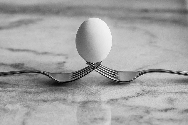 김프 무료 온라인 이미지 편집기로 편집할 계란 포크 균형 반사 무료 사진 무료 다운로드