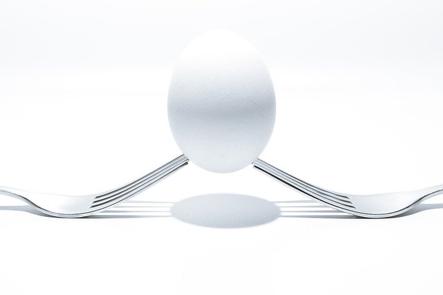 Free download egg forks shells cuttlery balance free picture to be edited with GIMP free online image editor