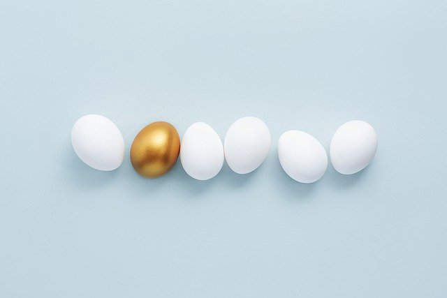 Free download egg metaphor winner exclusivity free picture to be edited with GIMP free online image editor