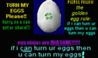 Free download Egg Ninjas Poster NOT TINY free photo or picture to be edited with GIMP online image editor