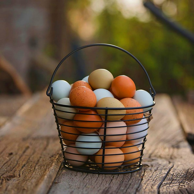 Kostenloser Download von Eiern, Korb, Schüssel, weißes Ei, kostenloses Bild, das mit dem kostenlosen Online-Bildeditor GIMP bearbeitet werden kann