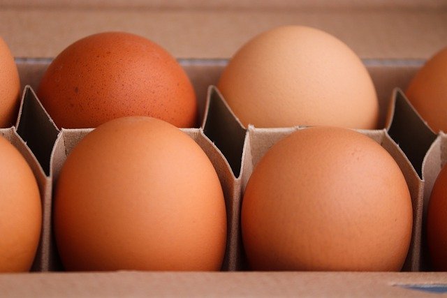 تنزيل مجاني لصندوق بيض الدجاج وبيض البيض مجانًا ليتم تحريره باستخدام محرر الصور المجاني عبر الإنترنت من برنامج جيمب