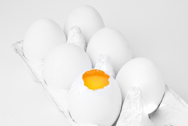Bezpłatnie pobierz pudełko z jajkiem białe żółtko zjedz darmowe zdjęcie do edycji za pomocą bezpłatnego internetowego edytora obrazów GIMP