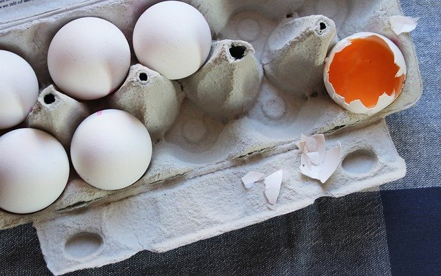 Muat turun percuma telur kuning telur kerapuhan kolesterol gambar percuma untuk diedit dengan GIMP editor imej dalam talian percuma