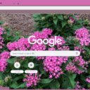 Egyptian Star Cluster  screen for extension Chrome web store in OffiDocs Chromium