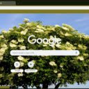 Elderberry Tree  screen for extension Chrome web store in OffiDocs Chromium