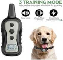 Unduh gratis Electric Dog Collars dengan foto atau gambar jarak jauh gratis untuk diedit dengan editor gambar online GIMP