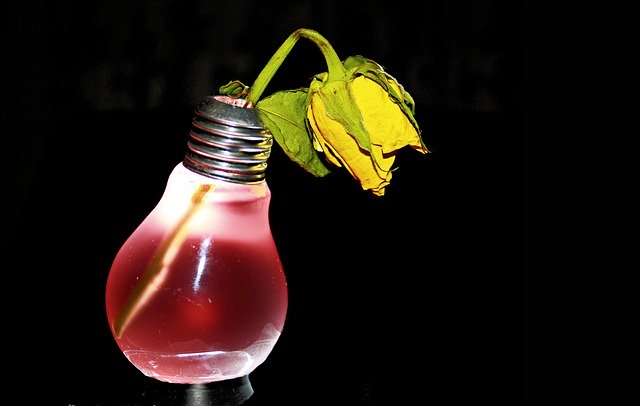 Free download electric smoke rose withered pear free picture to be edited with GIMP free online image editor