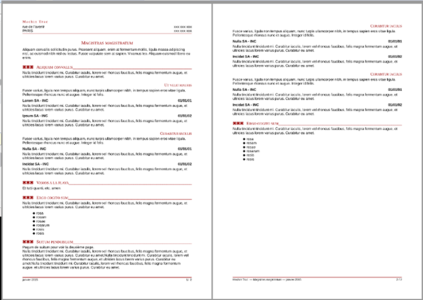 Free download Elegant CV with styles DOC, XLS or PPT template free to be edited with LibreOffice online or OpenOffice Desktop online