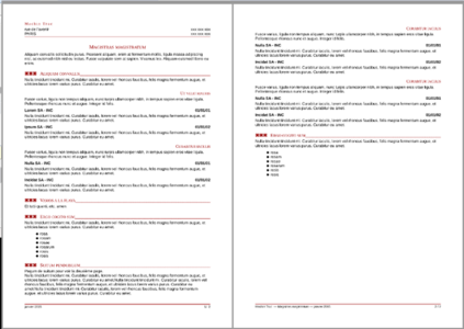 Gratis download Elegant CV met stijlen DOC, XLS of PPT-sjabloon gratis te bewerken met LibreOffice online of OpenOffice Desktop online