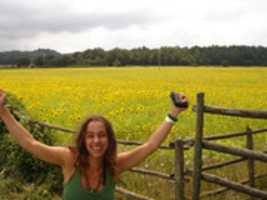 Free download Eleni and the sunflowers free photo or picture to be edited with GIMP online image editor