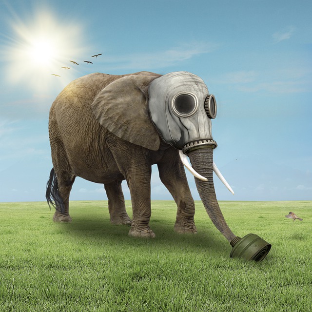 Free download elephant gas mask animal mammal free picture to be edited with GIMP free online image editor