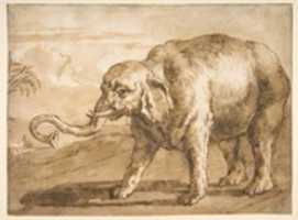 Free picture Elephant in a Landscape to be edited by GIMP online free image editor by OffiDocs