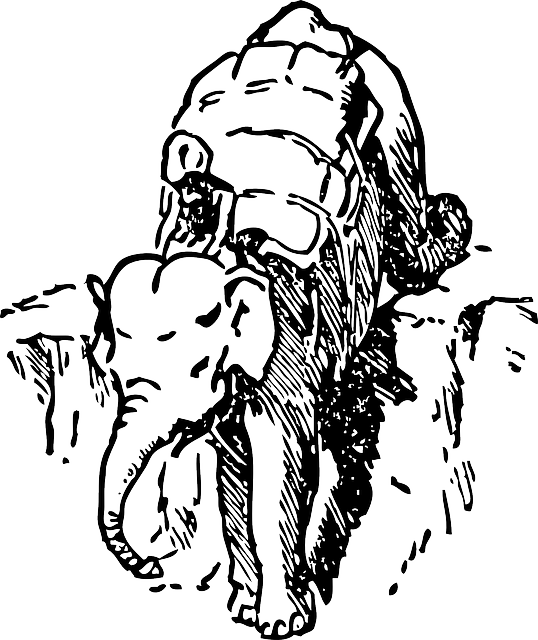Безкоштовно завантажити Elephant Ride Downhill - Безкоштовна векторна графіка на Pixabay, безкоштовна ілюстрація для редагування за допомогою безкоштовного онлайн-редактора зображень GIMP