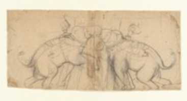 Free download Elephants in Combat free photo or picture to be edited with GIMP online image editor