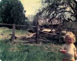 Free download Eli above the barnyard, Flynns calf Koni and big barn In the background, Fall  75 free photo or picture to be edited with GIMP online image editor