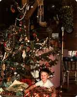 Téléchargez gratuitement Eli à Noël dans le poulailler. photo ou image gratuite à modifier avec l'éditeur d'images en ligne GIMP
