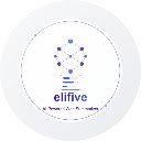 Elifive AI Summarizer  screen for extension Chrome web store in OffiDocs Chromium