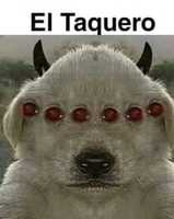 Free download El taquero free photo or picture to be edited with GIMP online image editor
