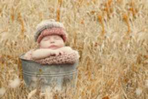 Free download Elven Names free photo or picture to be edited with GIMP online image editor